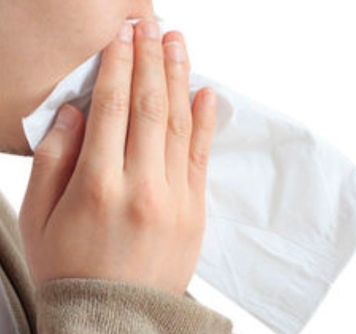 사진 유토이미지 *재판매 및 DB 금지