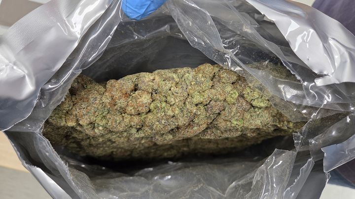 [수원=뉴시스] 마약범죄 정부합동수사본부가 압수한 대마의 모습. (사진=합수본 제공) 2026.04.10. photo@newsis.com *재판매 및 DB 금지