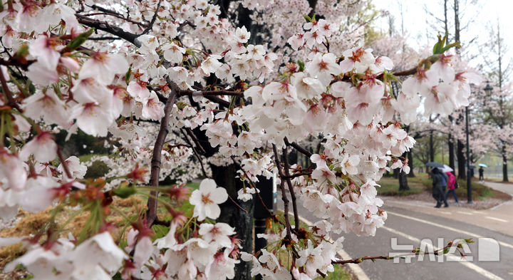 울산, 낮 최고 21도 '포근'…높은 물결 주의