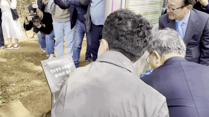 [영월=뉴시스] 한이재 기자 = 11일 허민 국가유산청장이 영월 장릉 정령송 옆 안내판에 흙을 뿌리고 있다. 2026.04.11. nowone@newsis.com *재판매 및 DB 금지