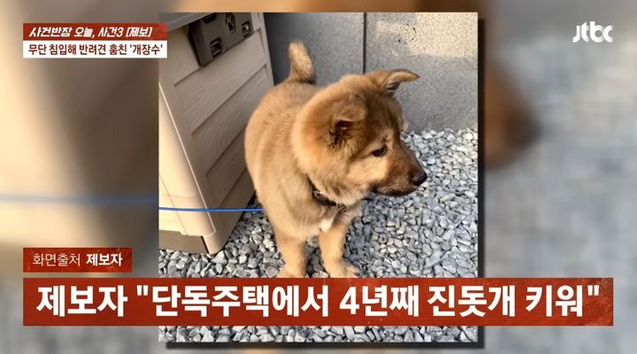 [서울=뉴시스] 해당 사연에서 소개된 반려견 '봉봉이'. (사진=JTBC '사건반장' 캡처) 2026.04.12.