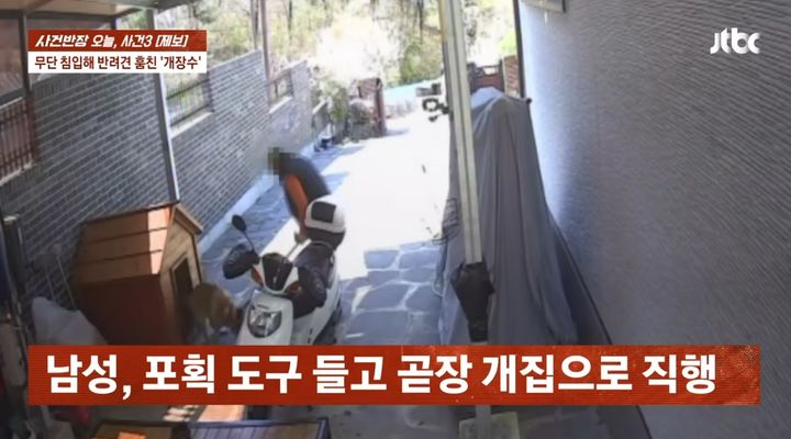 [서울=뉴시스] 번지수를 착각한 개장수가 남의 집 마당에 무단 침입해 반려견 '봉봉이'를 포획해 가는 모습. (사진=JTBC '사건반장' 캡처) 2026.04.12.