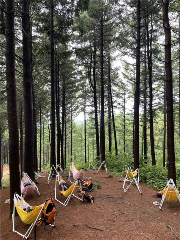 [횡성=뉴시스] 국립횡성숲체원 사회공헌활동 프로그램 중 '해먹 체험'이 진행되고 있다. (사진=횡성군 제공) 2026.04.13. photo@newsis.com *재판매 및 DB 금지