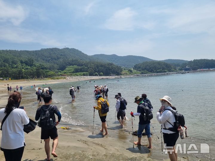 [고성(경남)=뉴시스] 신정철 기자= 경남 고성군의 코리아둘레길 ‘2026 걷기여행길 프로그램’이 지난 5일 ‘진달래 걷기축제'를 시작으로 ‘길동무 프로그램’, ‘my자연인로드’ 등 설렘 가득한 테마를 통해 총 32회에 걸쳐 다양한 여행객과 만날 예정이다. 사진은 지난해 걷기여행길 프로그램 자연인로드 모습.(사진=뉴사스DB).2026.04.13. sin@newsis.com