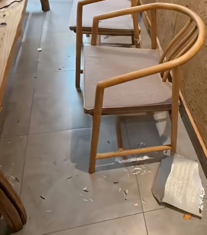 [서울=뉴시스] 일부 방문객의 무분별한 쓰레기 투기로 몸살을 앓던 카페 주인이 결국 매장 입구에 구체적인 금지 수칙을 담은 안내문을 내걸었다. (사진=도우인)