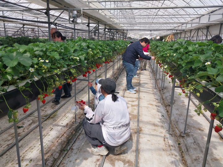 창원시, 지속 가능한 '먹거리 선순환' 체계 강화
