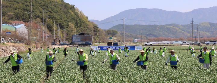 [창원=뉴시스]농협, 영농철 전국 동시 일손돕기 돌입. (사진=경남농협 제공) 2026.04.13.photo@newsis.com *재판매 및 DB 금지
