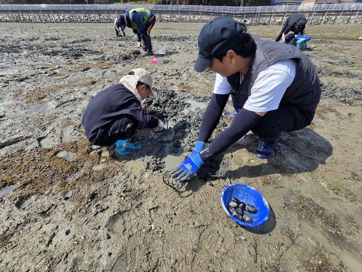 [고성(경남)=뉴시스] 신정철 기자= 경남 고성군은 4월부터 11월까지 지역의 소중한 생태자원을 활용한 '2026년 고성군 생태관광 체험프로그램'을 본격적으로 운영한다고 13일 밝혔다.사진은 고성읍 신월리에서 진행되는 ‘생태관광 갯벌체험’ 모습.(사진=고성군 제공),2026.04.13. photo@newsis.com *재판매 및 DB 금지