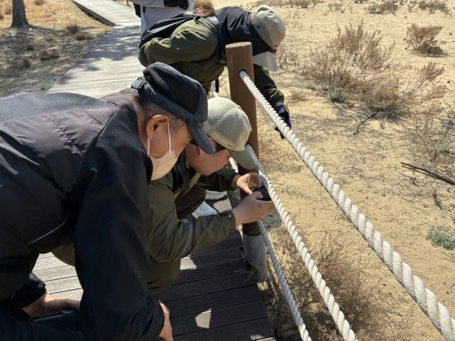 [태안=뉴시스] 태안해안국립공원사무소 2026 시민과학 멸종위기조사단이 13일 태안 원북면 신두리 해안사구에서 멸종위기야생생물 2급 표범장지뱀 모니터링을 하고 있다. (사진=태안해안국립공원사무소 제공) 2026.04.13. photo@newsis.com *재판매 및 DB 금지