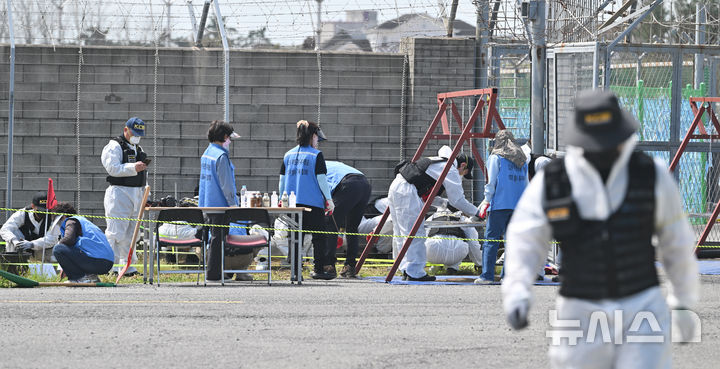[무안=뉴시스] 이영주 기자 = 국무조정실 항공철도사고조사위원회와 12·29 무안공항 제주항공 참사 유가족협의회, 군·경 등이 합동으로 진행하는 제주항공 참사 희생자 유해 재수색 작업이 13일 오전 전남 무안국제공항 활주로에서 진행되고 있다. 2026.04.13. leeyj2578@newsis.com