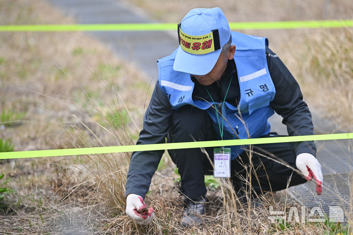 [무안=뉴시스] 이영주 기자 = 12·29 무안공항 제주항공 참사 유가족들이 13일 오전 전남 무안국제공항 활주로에서 진행 중인 제주항공 참사 희생자 유해 재수습 작업에 참여하고 있다. 2026.04.13. leeyj2578@newsis.com