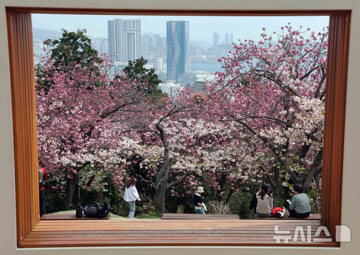  [부산=뉴시스] 하경민 기자 = 포근한 날씨를 보인 13일 부산 중구 민주공원을 찾은 시민과 관광객들이 활짝 핀 겹벚꽃을 배경으로 기념사진을 찍으며 봄 나들이를 즐기고 있다. 2026.04.13. yulnetphoto@newsis.com