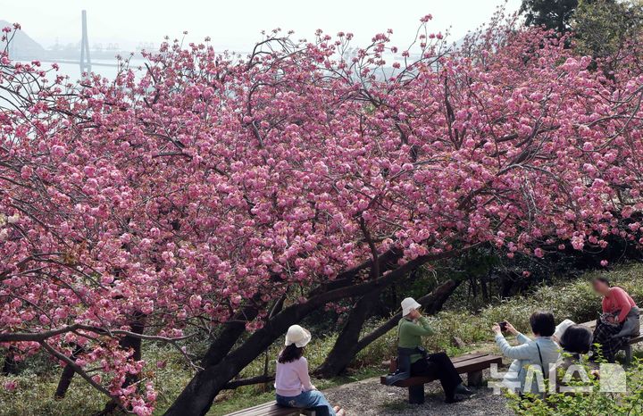 충북 구름 많고 일교차 커…낮 최고 26도