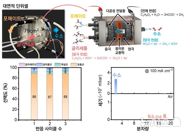 [창원=뉴시스]한국재료연구원과 울산과학기술원 공동 연구팀이 개발한 79㎠ 대면적 음이온 교환막 전해 기반 시스템 개념도 및 포름산염 및 수소 생산 선택도 성능 평가 결과.(자료=한국재료연구원 제공) 2026.04.14. photo@newsis.com
