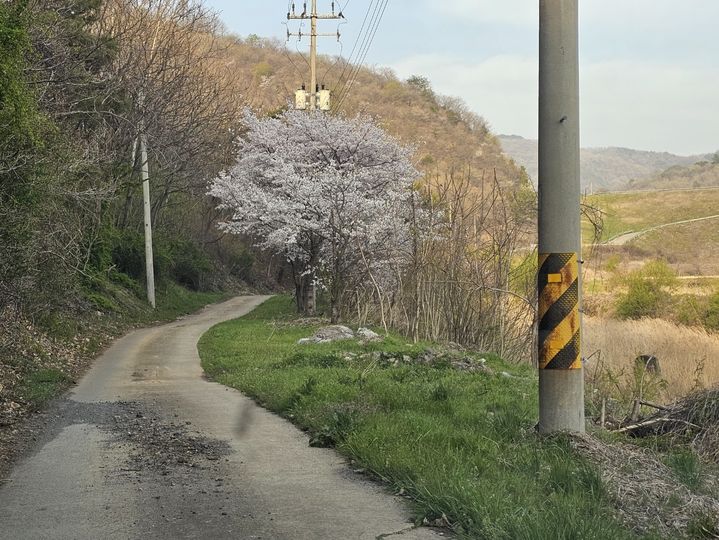 [예산=뉴시스] 김덕진 기자=충남 예산군 광시면 산묵지를 오르는 길. 도로폭이 좁아 교행이 어렵다. 2026.04.14. spark@newsis.com *재판매 및 DB 금지