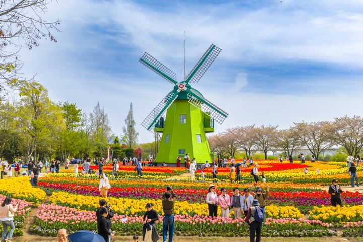 [순천=뉴시스] 순천만국가정원 내 네덜란드 정원. (사진=순천시 제공) 2026.04.14. photo@newsis.com *재판매 및 DB 금지