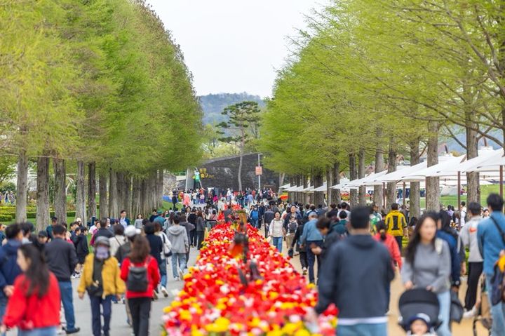 [순천=뉴시스] 순천만국가정원 낙우송길. (사진=순천시 제공) 2026.04.14. photo@newsis.com *재판매 및 DB 금지