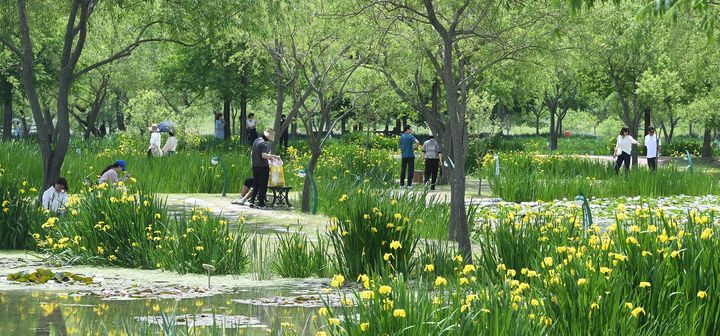 [거창=뉴시스] 거창창포원 관람객 (사진=거창군 제공) 2026. 04. 14. photo@newsis.com&nbsp; *재판매 및 DB 금지