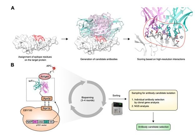 "AI가 설계한 단백질"…1.5조원 투자받은 '드노보' 무엇?