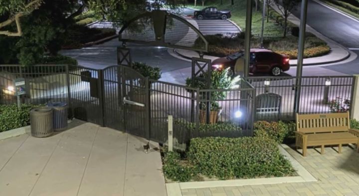 [서울=뉴시스] 미국 캘리포니아주 오렌지카운티에서 한 남성이 강아지를 울타리 너머로 던져 유기하는 장면이 포착됐다. (사진=미션 비에호 동물보호센터)