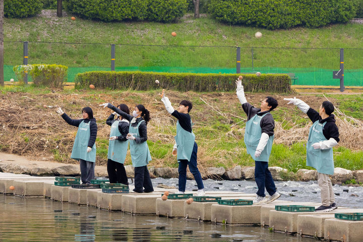 [서울=뉴시스]코웨이 임직원 봉사자들이 안양천 다리에서 EM흙공을 던지고 있다..(사진=코웨이 제공) 2026.04.14. photo@newsis.com *재판매 및 DB 금지