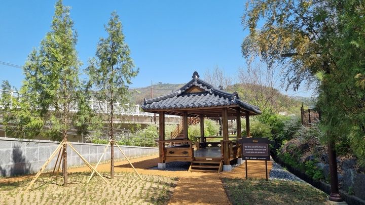 [대구=뉴시스] 대구 동구 도동 측백나무숲 생태복원 모습. (사진=동구 제공) 2026.04.14. photo@newsis.com *재판매 및 DB 금지