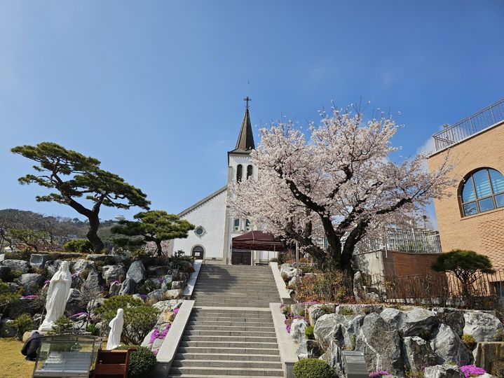 대전·세종·충남 낮 최고 25도...아침엔 8~10도 '쌀쌀' - 뉴스 썸네일 이미지