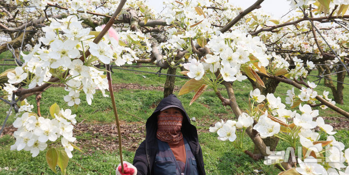 대체로 맑은 울산, 아침 10도·한낮 19도…미세먼지 보통
