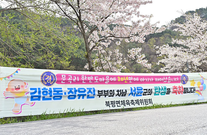 정선군 북평면 문곡리에 ‘20년 만의 경사’라며 주민들이 아기 탄생 축하 현수막을 부착하고 있다.(사진=정선군 제공) *재판매 및 DB 금지