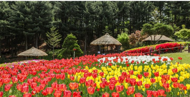 [용인=뉴시스] 용인농촌테마파크(사진=뉴시스 DB) photo@newsis.com *재판매 및 DB 금지