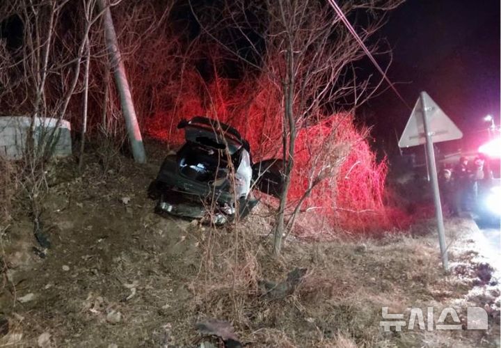 [단양=뉴시스] 지난 2월1일 단양군의 한 도로에서 차량이 연석을 들이받고 도로를 이탈해 산비탈로 돌진한 모습.(사진=충북경찰청 제공)