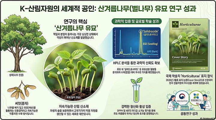 [대전=뉴시스]국립산림과학원이 산림자원인 산겨릅나무 유묘(새싹)이 기존 약용 부위로 이용된 수피(껍질)보다 기능성 성분 함량이 우수하다는 사실을 과학적으로 입증했다.(사진=국립산림과학원 제공) *재판매 및 DB 금지