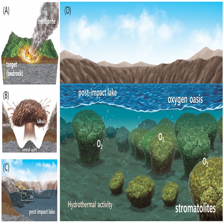 [대전=뉴시스] 운석 충돌 후 스트로마톨라이트 성장과 산소 오아시스 형성과정 상상도.(사진=지질자원연구원 제공) *재판매 및 DB 금지