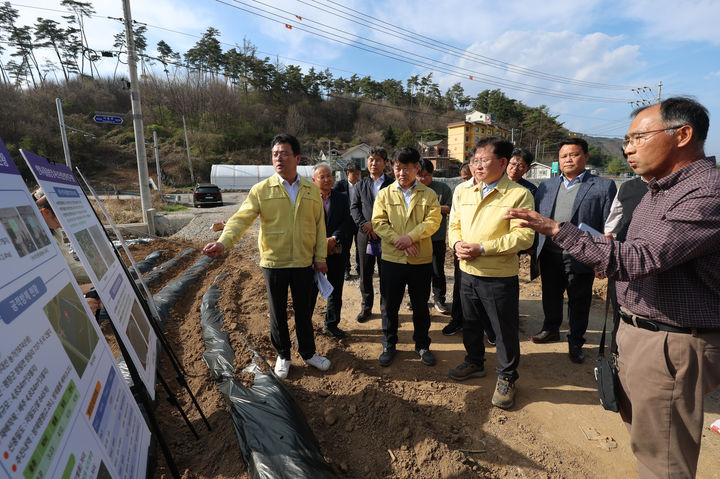 고랭지배추 '씨스트선충' 확산...농진청 "정식 전 방제 골든타임" - 뉴스 썸네일 이미지