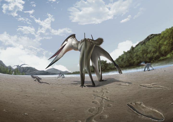 [진주=뉴시스] 진주 익룡 복원도. (사진=진주교대 김경수 교수 제공) 2026.04.16. photo@newsis.com *재판매 및 DB 금지