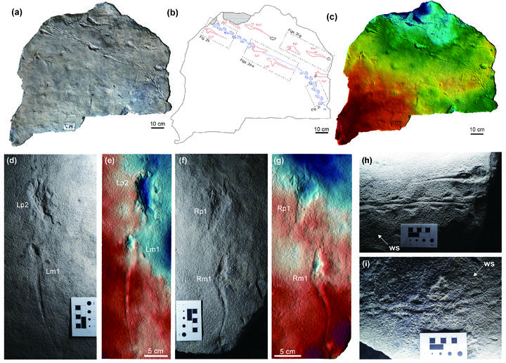 [진주=뉴시스] 익룡과 소형 동물 발자국의 분포도와 3차원 이미지. (사진=진주교대 김경수 교수 제공).2026.04.16. photo@newsis.com *재판매 및 DB 금지