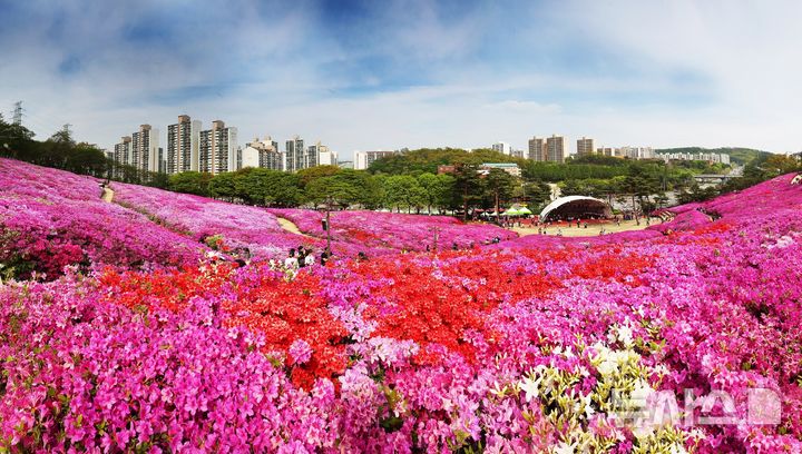 [군포=뉴시스] 철쭉 축제가 열리는 철쭉동산 전경. (사진=군포시 제공)..2026.04.16.photo@newsis.com