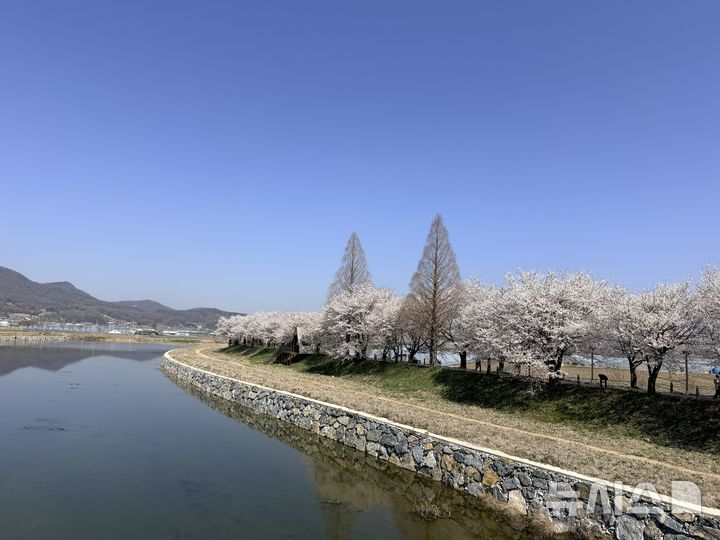 [음성=뉴시스] 응천공원 사업 관련 현장사진