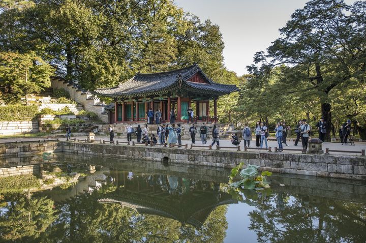 [서울=뉴시스] 창덕궁 일대 '아침 궁을 꺠우다' 진행 모습 (사진=국가유산진흥원 제공) 2026.04.16. photo@newsis.com *재판매 및 DB 금지