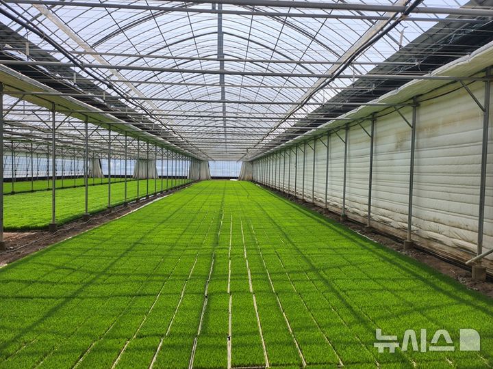 [김해=뉴시스] 벼 육묘상자 처리제 지원. (사진=김해시 제공) 2026.04.16. photo@newsis.com 