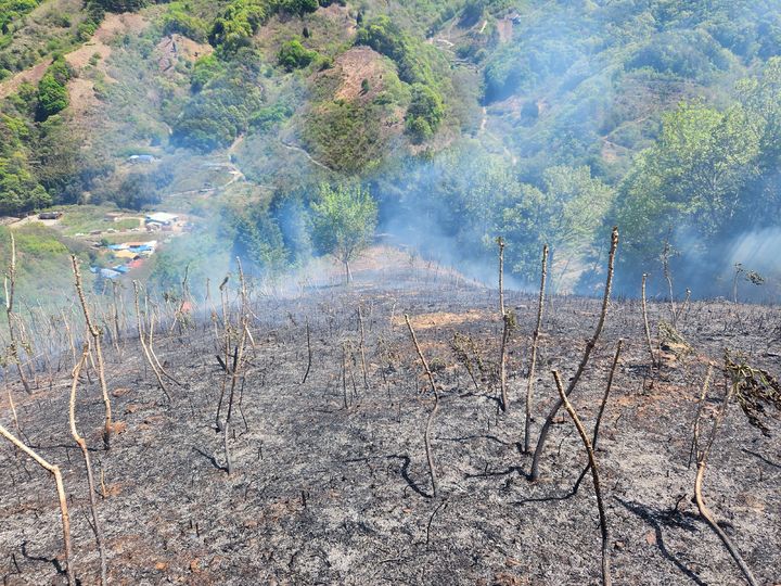 [광양=뉴시스] 16일 낮 12시6분께 전남 광양시 진상면 야산에서 불이 나 당국이 진화 작업 중이다. (사진=전남소방본부 제공) 2026.04.16. photo@newsis.com *재판매 및 DB 금지