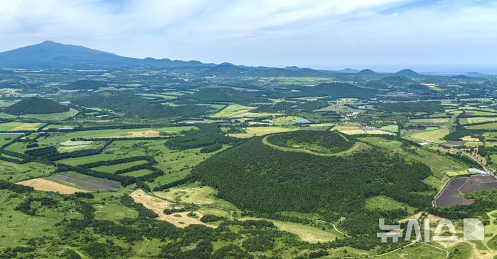 [제주=뉴시스] 임재영 기자 = 제주 동부지역 오름 군락. (사진=뉴시스 DB) ijy788@newsis.com