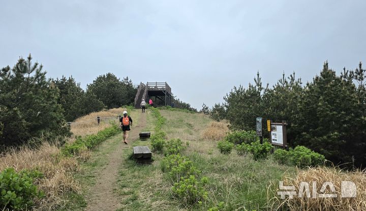 [제주=뉴시스] 임재영 기자 = 지난 12일 제주시 구좌읍 송당리 아부오름 분화구 능선을 탐방객이 걷고 있다. 능선 정상에서 경치를 볼 수 없게 되자 전망대를 따로 설치했으나 경관 조망에는 한계가 있다. 2026.04.16. ijy788@newsis.com