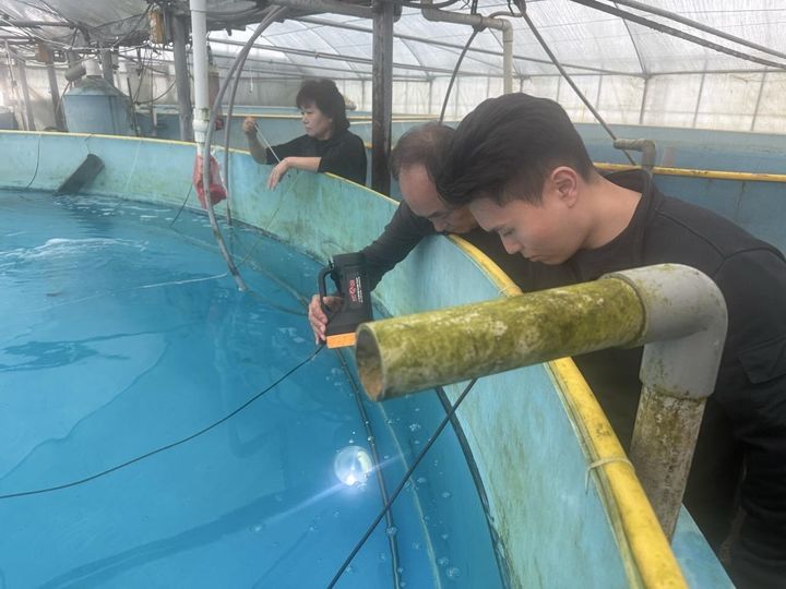 [부산=뉴시스] 넙치 수정란 수조 입식. (사진=한국수산자원공단 제공) 2026.04.16. photo@newsis.com *재판매 및 DB 금지