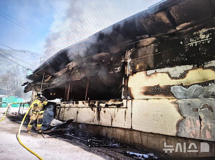 [영천=뉴시스] 영천시 신녕면 가천리 돼지농장 화재 현장 (사진=경북소방본부 제공) 2026.4.16. photo@newsis.com