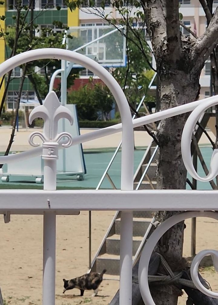 사진 보배드림 *재판매 및 DB 금지