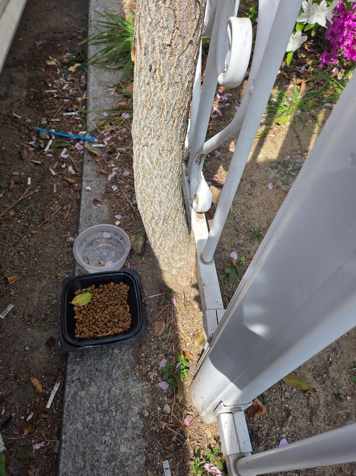 사진 보배드림 *재판매 및 DB 금지