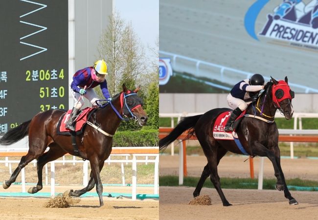 [서울=뉴시스] '제25회 YTN배'에 출전하는 '글로벌히트(왼쪽)', '스피드영'. (사진=한국마사회 제공) *재판매 및 DB 금지