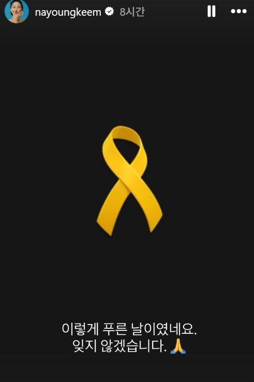 [서울=뉴시스] 세월호 참사 12주기를 맞은 16일 연예계에서 희생자들을 애도하는 추모 게시물들이 이어졌다. (사진=김의성 인스타그램 캡처) 2026.04.16. photo@newsis.com *재판매 및 DB 금지