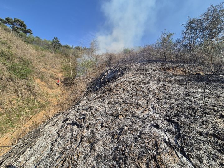 [공주=뉴시스] 16일 오후 4시10분께 충남 공주시 이인면 주봉리 일원에서 산불이 나 산림 약 600㎡가 탔다. (사진=공주소방서 제공) 2026.04.16. photo@newsis.com *재판매 및 DB 금지